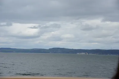 DSC_7311 (Large).JPG